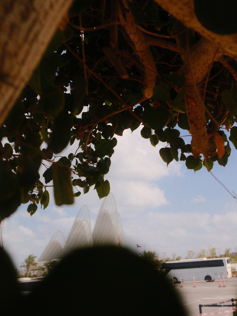 View through foliage framing a building with triangular structures against a cloudy sky.