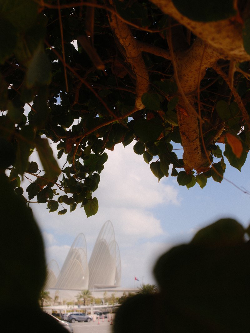 View through leaves of modern architecture with curved shapes against a blue sky.