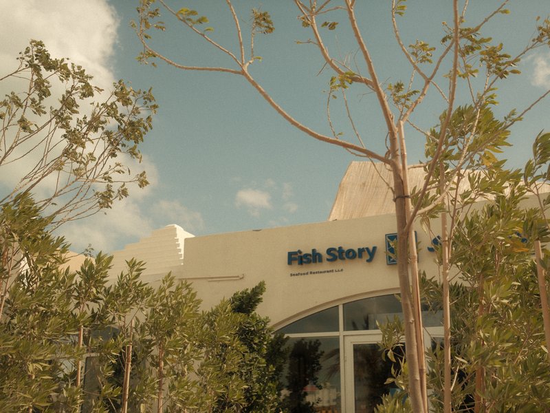 A building with the sign 'Fish Story' surrounded by trees and a cloudy sky.