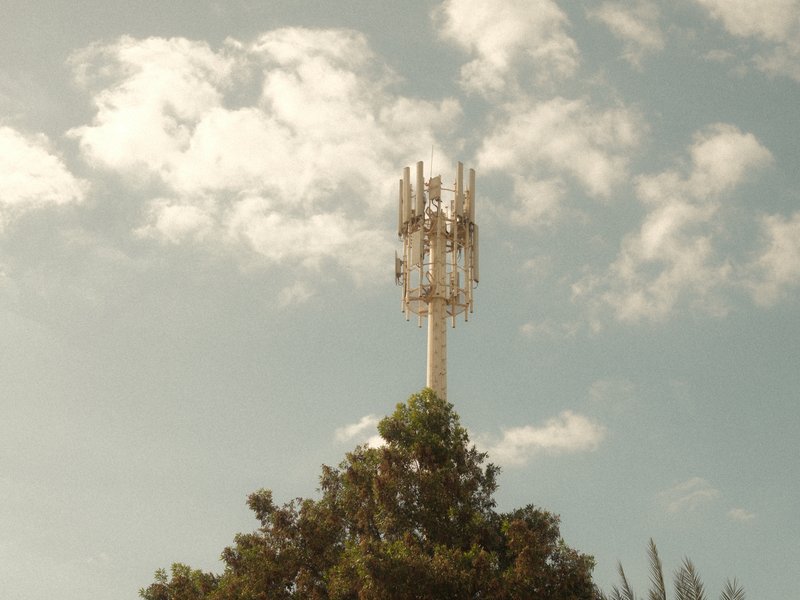 A cell tower rises above a tree against a cloudy sky, showcasing technology amidst nature.