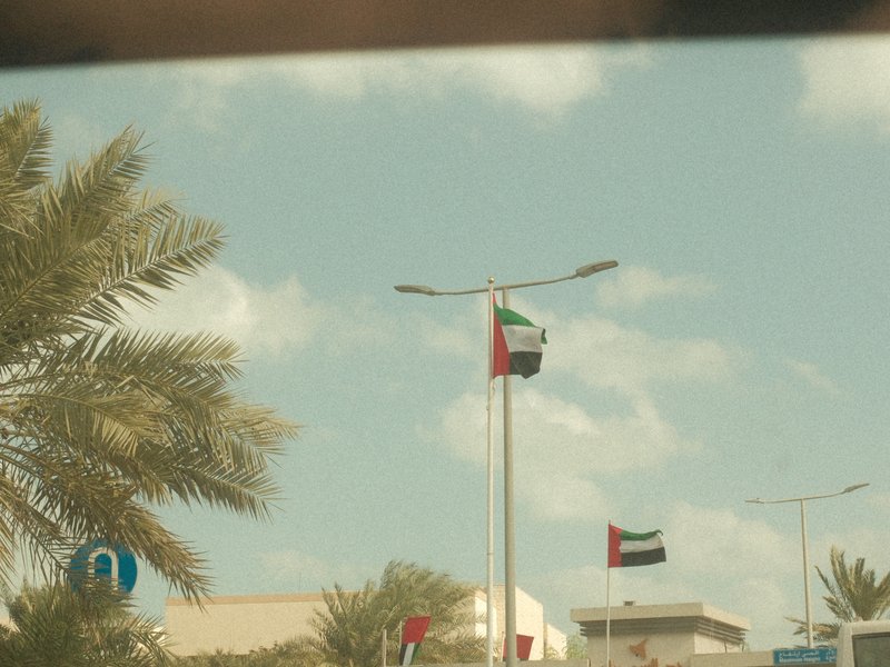 A view of flags on poles against a blue sky with scattered clouds, framed by palm trees.