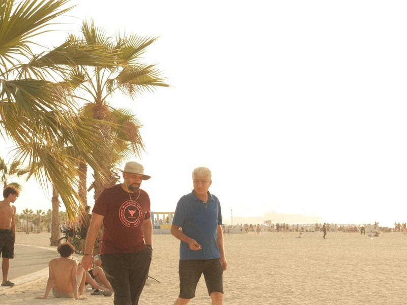 Two men walking along a beach lined with palm trees, with a hazy background of people and ocean.