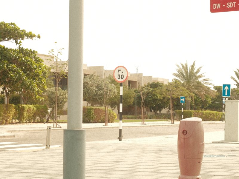 A street scene featuring a speed limit sign and palm trees under bright sunlight.