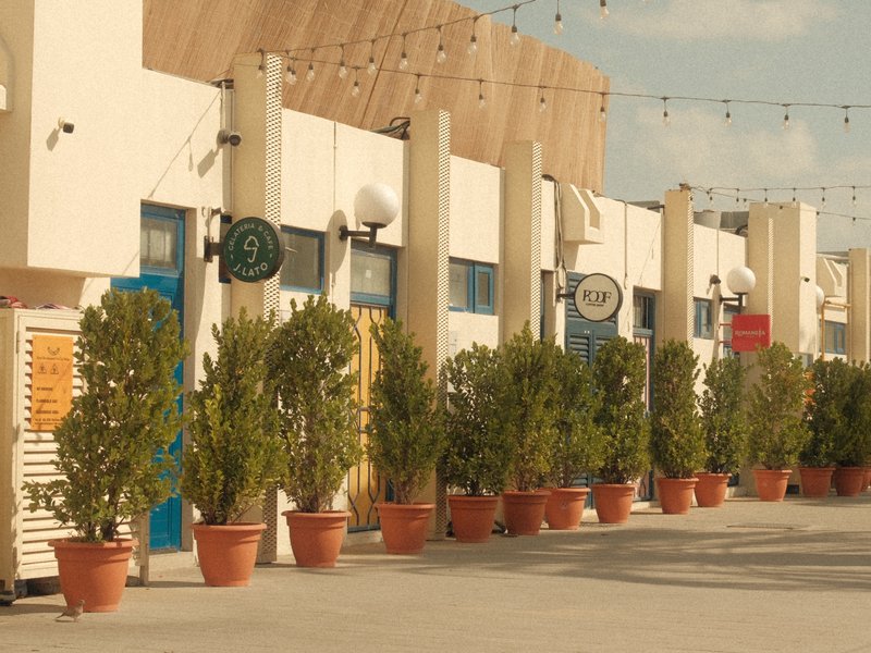 Row of buildings with colorful doors and potted plants in a sunny outdoor setting.