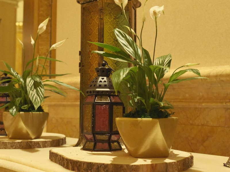 Decorative lantern beside potted plants on a wooden surface in a warm indoor setting.