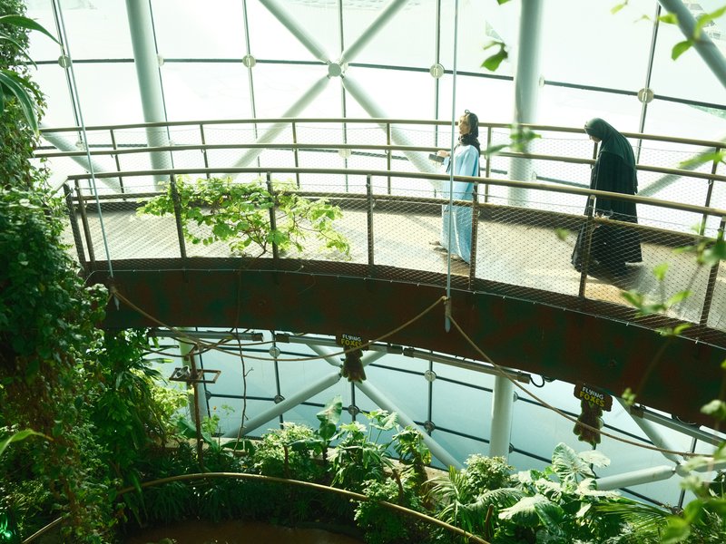 Two figures walking on a curved walkway surrounded by greenery in a modern glass structure.