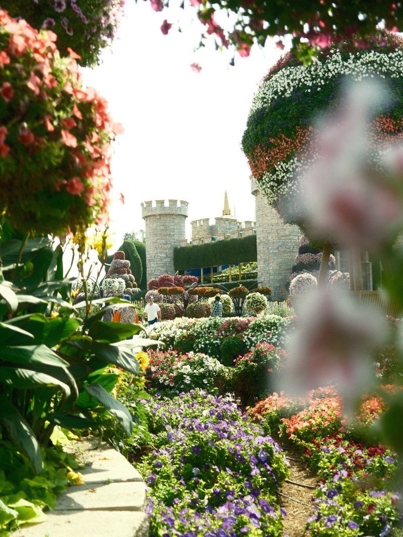 A vibrant garden filled with colorful flowers and greenery, with a castle in the background.