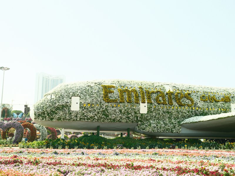 A floral-covered Emirates airplane surrounded by colorful flowers in a bright outdoor setting.