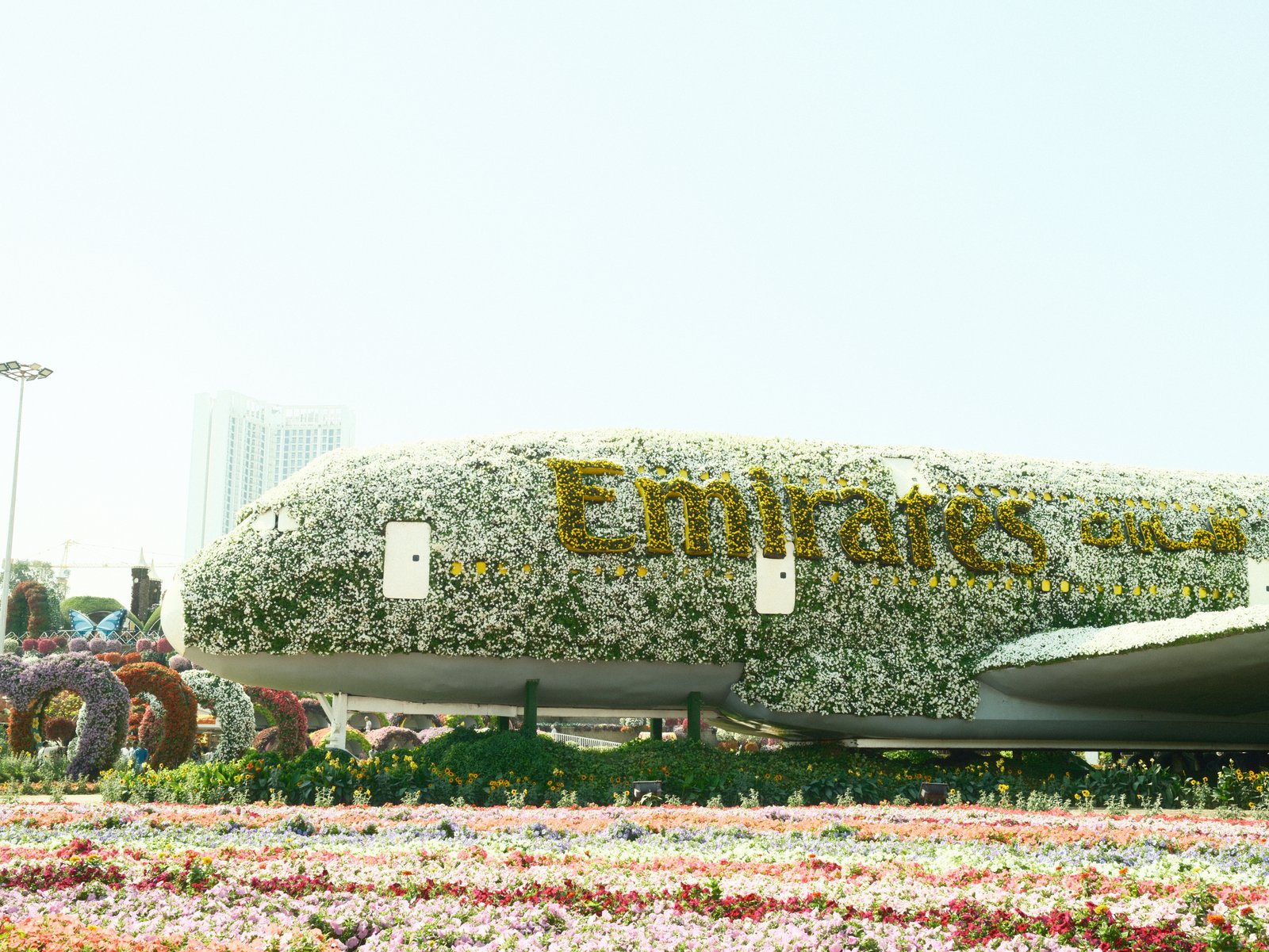 A floral-covered Emirates airplane surrounded by colorful flowers in a bright outdoor setting.