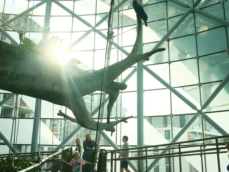 A large whale skeleton suspended in a modern glass building with sunlight streaming through.