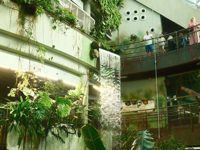Indoor waterfall surrounded by lush greenery in a modern architectural setting with people observing.