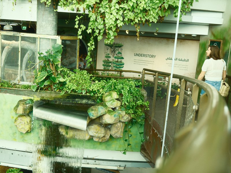 A lush indoor garden with greenery and a water feature, featuring a sign in the background.