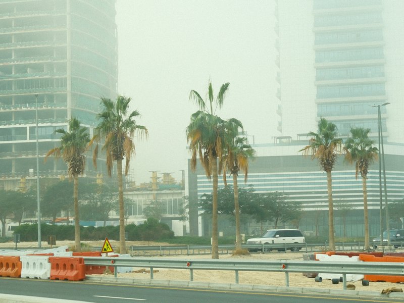 A hazy urban scene with palm trees and modern buildings partially obscured by fog.
