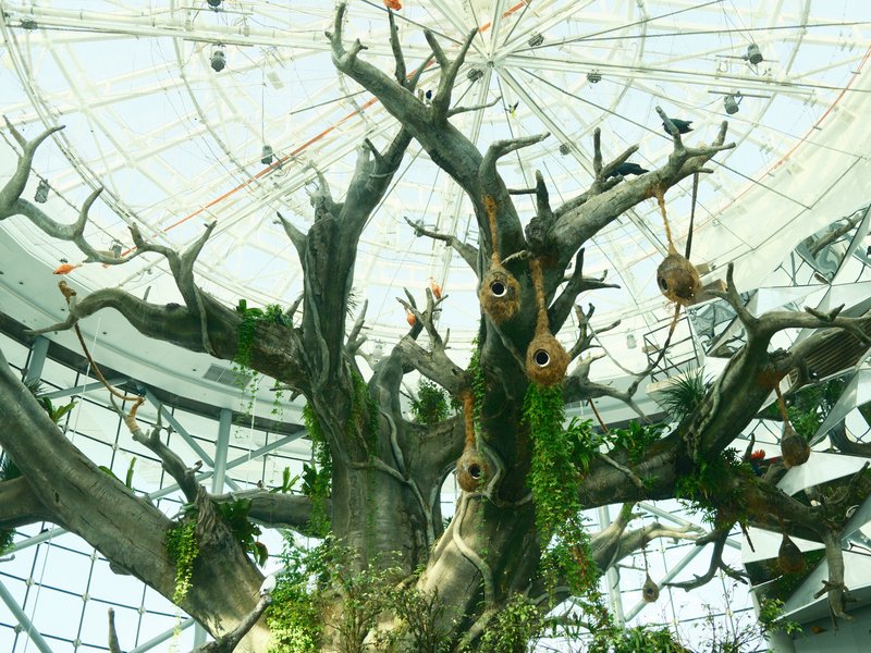 A large, intricate tree with bare branches and hanging nests under a glass dome ceiling.