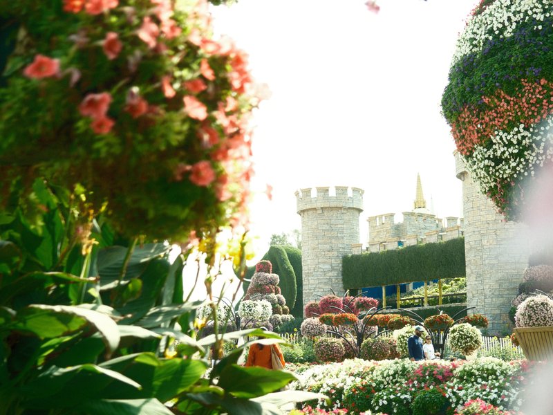 A vibrant garden scene with colorful flowers and a castle in the background under bright sunlight.
