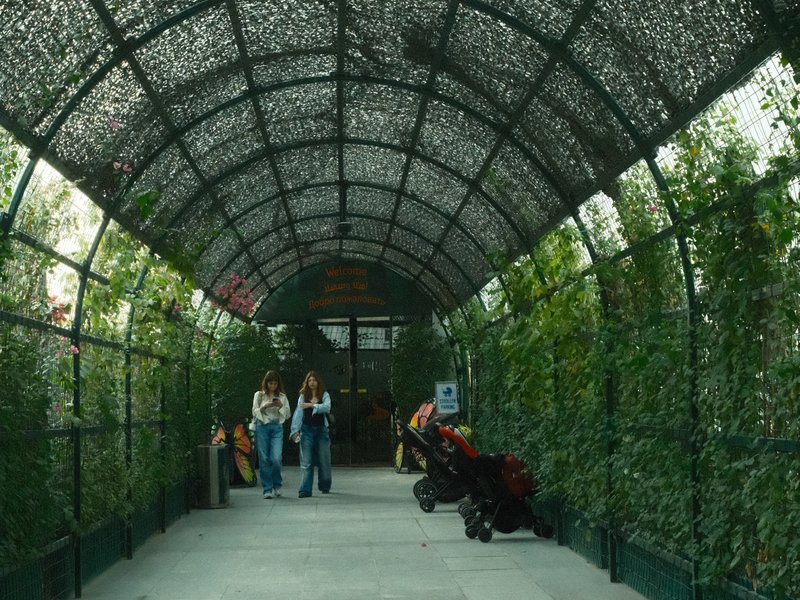 Two people walking through a green, leafy corridor with a stroller in a lush setting.