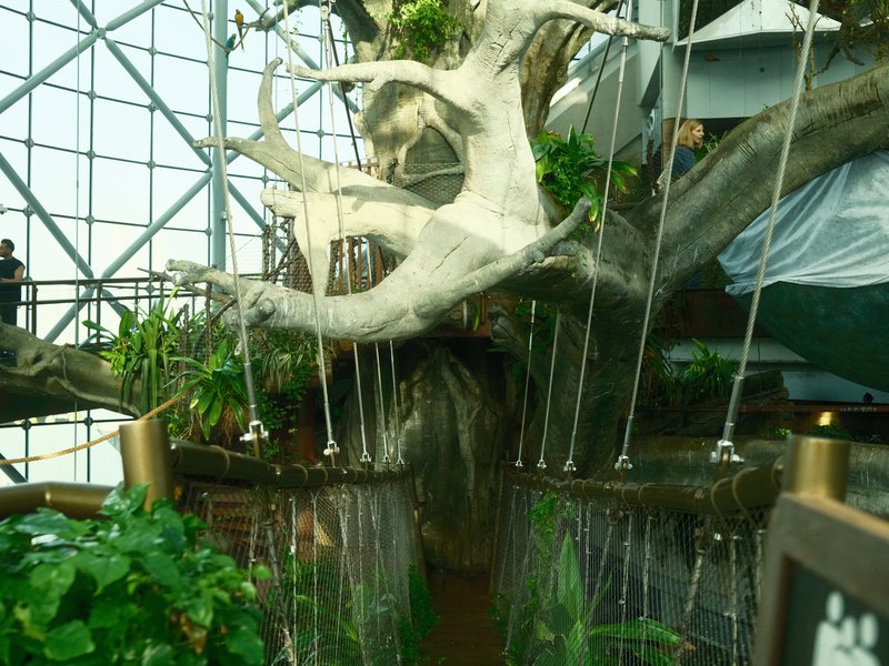 A large tree with cascading water features in a greenhouse setting, surrounded by lush greenery.