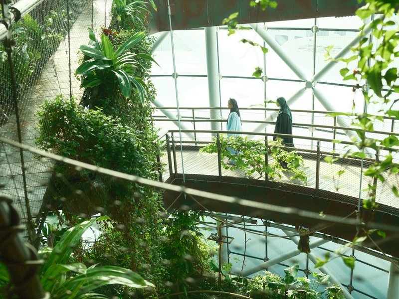 Two figures walking on a bridge surrounded by lush greenery and reflective water in a modern greenhouse.