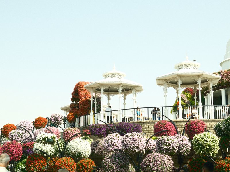 Colorful flower arrangements in front of white pavilions under a clear sky.