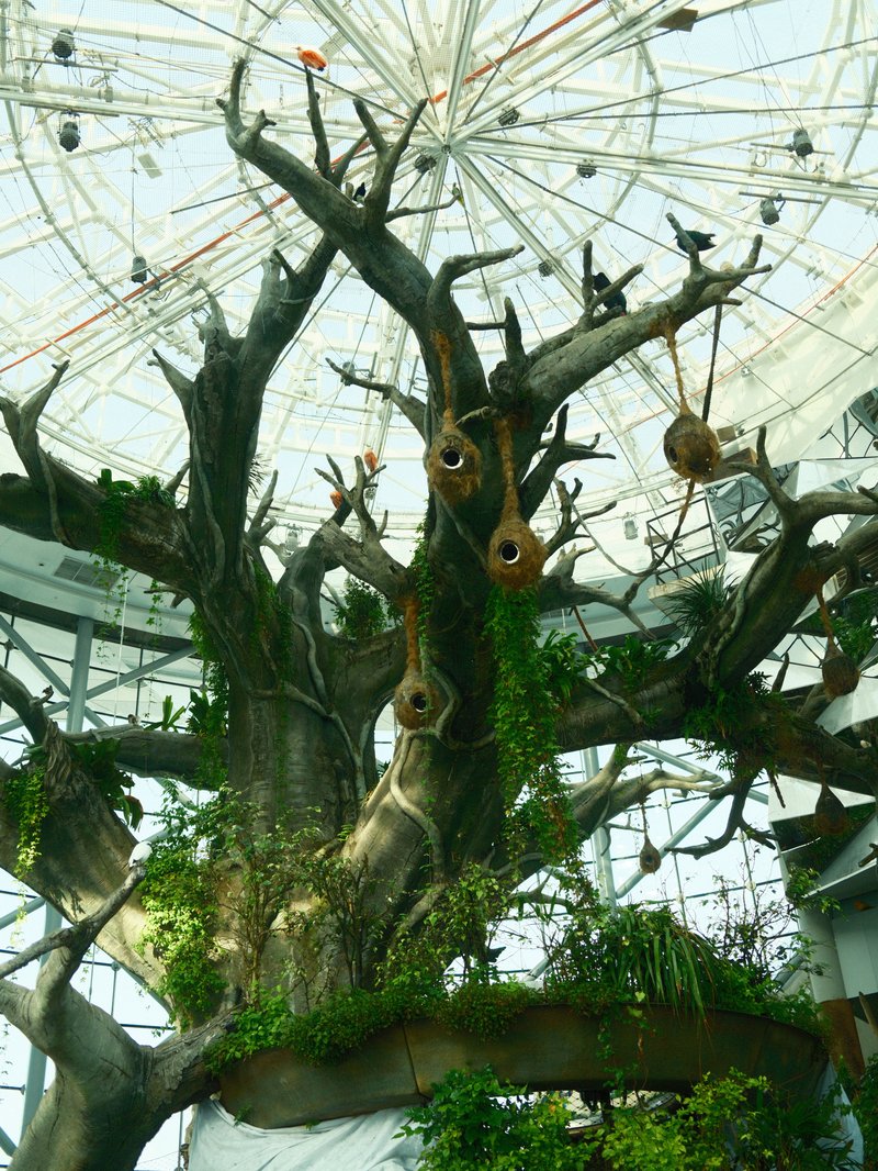 A large, intricate tree with twisted branches and nests, set under a glass dome ceiling.