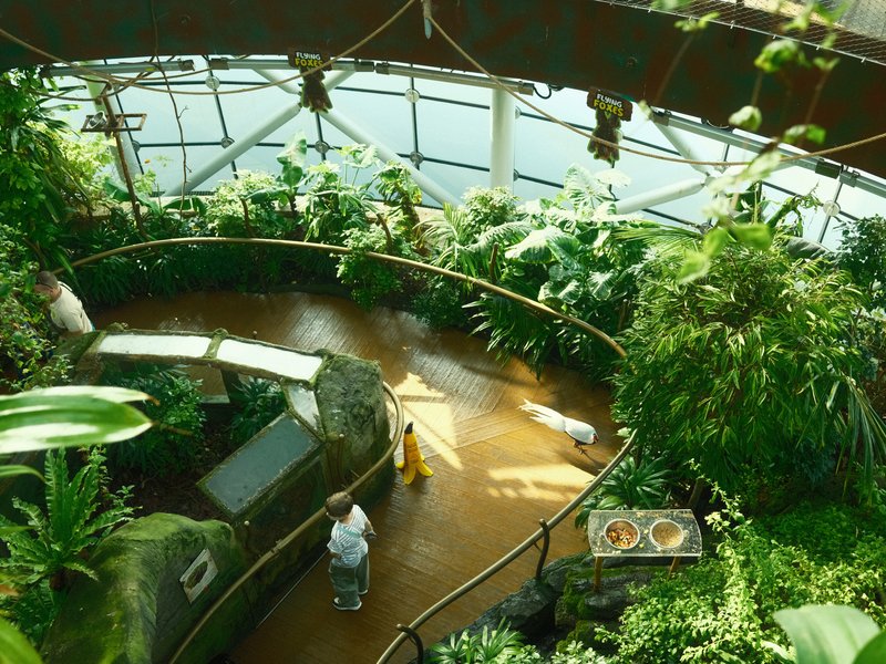 A lush indoor garden with a circular pathway, featuring various plants and a person walking.