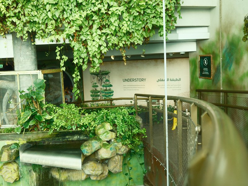 Indoor scene featuring lush greenery and a curved walkway near a water feature.
