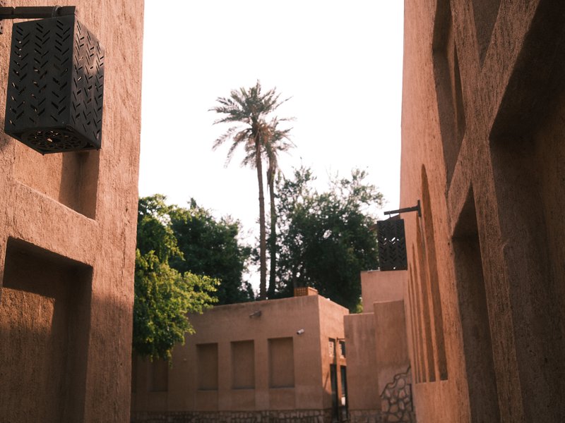 Narrow alleyway between adobe buildings with a palm tree in the background under a bright sky.