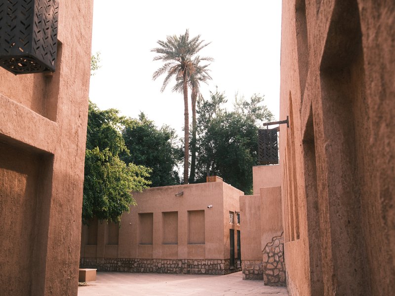 Narrow alleyway between adobe buildings with a palm tree in the background.