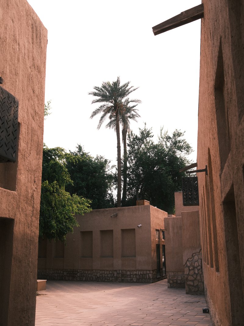 Narrow alleyway between adobe buildings with a palm tree in the background under a bright sky.
