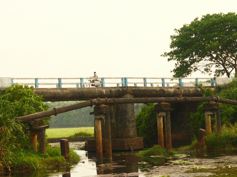 A person sitting on a bridge over a waterway surrounded by lush greenery and fields.