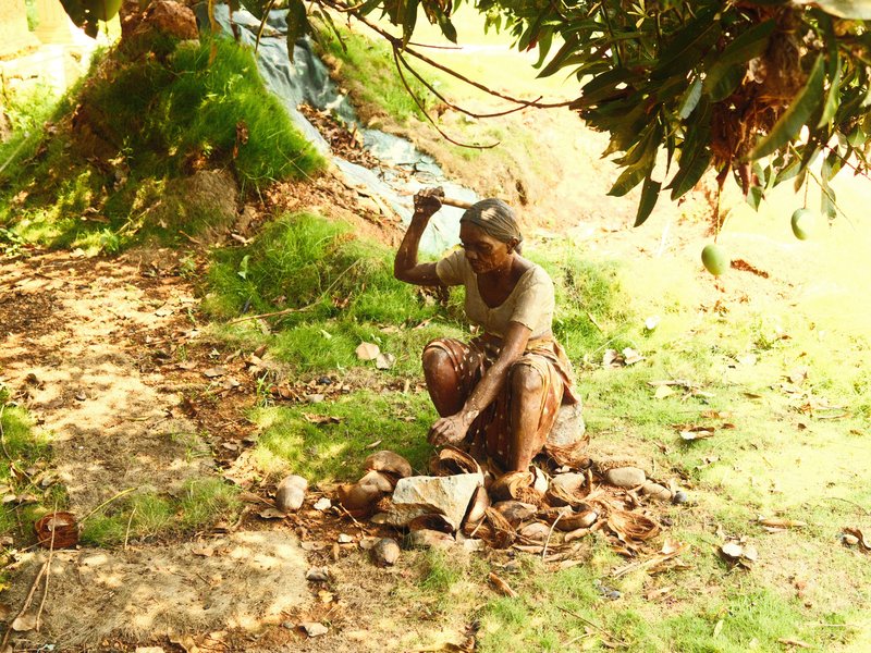 A person sitting on the ground, striking a stone with a tool under a tree, surrounded by greenery.