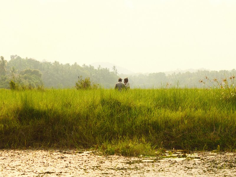 Two people sitting in a grassy field with trees in the background under a hazy sky.
