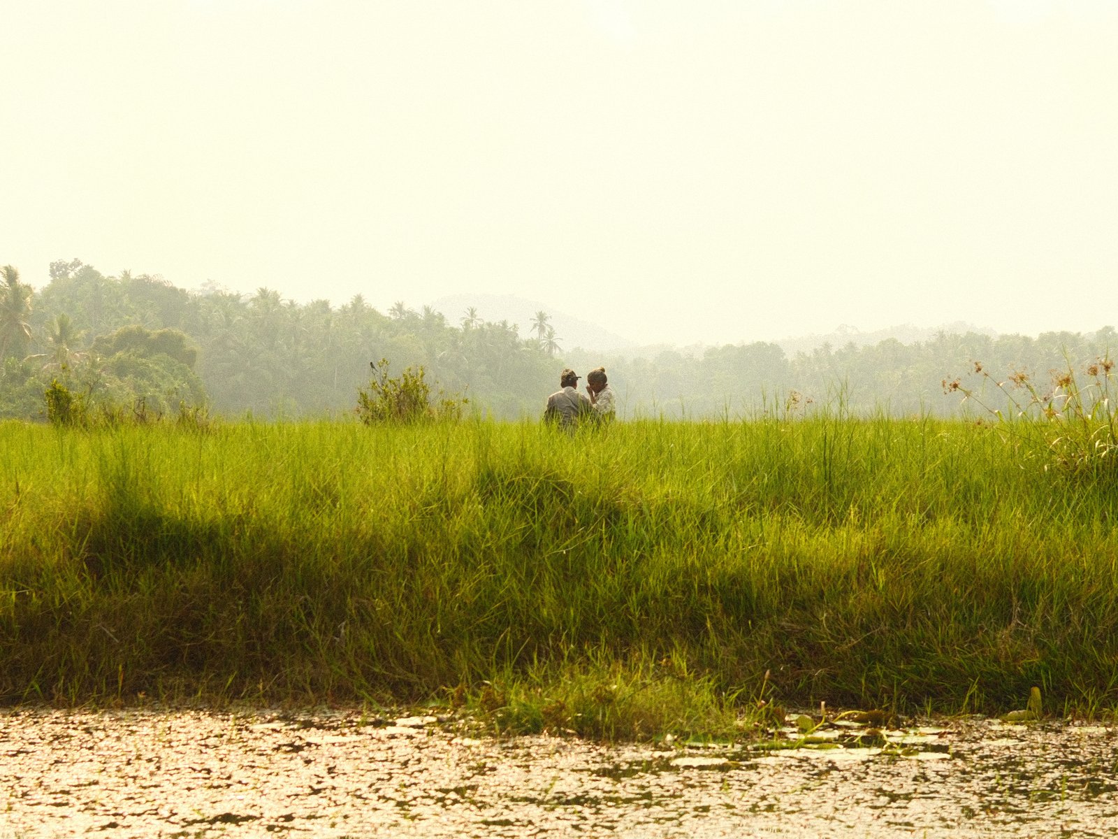 Two people sitting in a grassy field with trees in the background under a hazy sky.