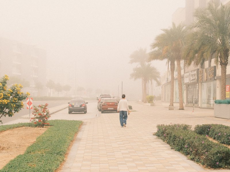A person walking down a foggy street lined with palm trees and cars, creating a mysterious atmosphere.