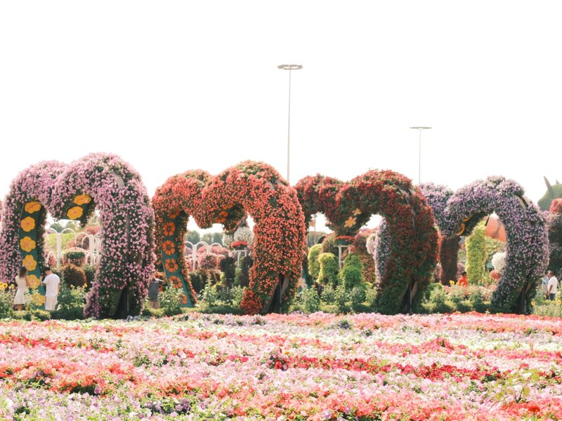 Colorful flower arches in a garden filled with blooming flowers.