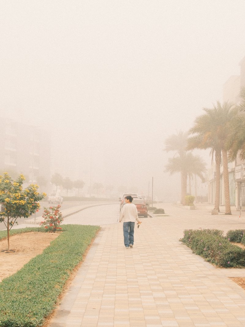 A person walking down a foggy pathway lined with palm trees and greenery.