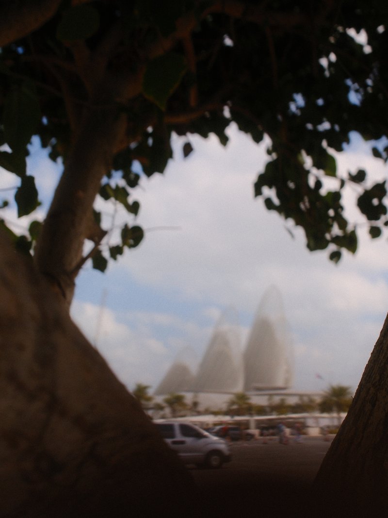 Blurred view of modern architectural structures framed by tree branches.
