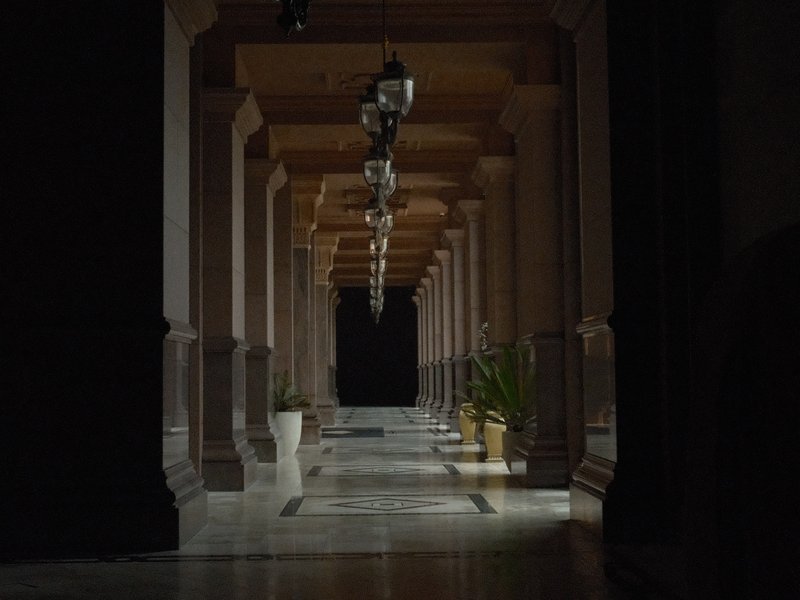 Dimly lit corridor with columns and potted plants, creating a serene atmosphere.