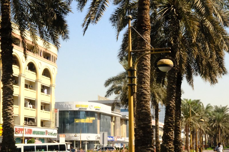Palm trees lining a city street with buildings and a clear blue sky in the background.