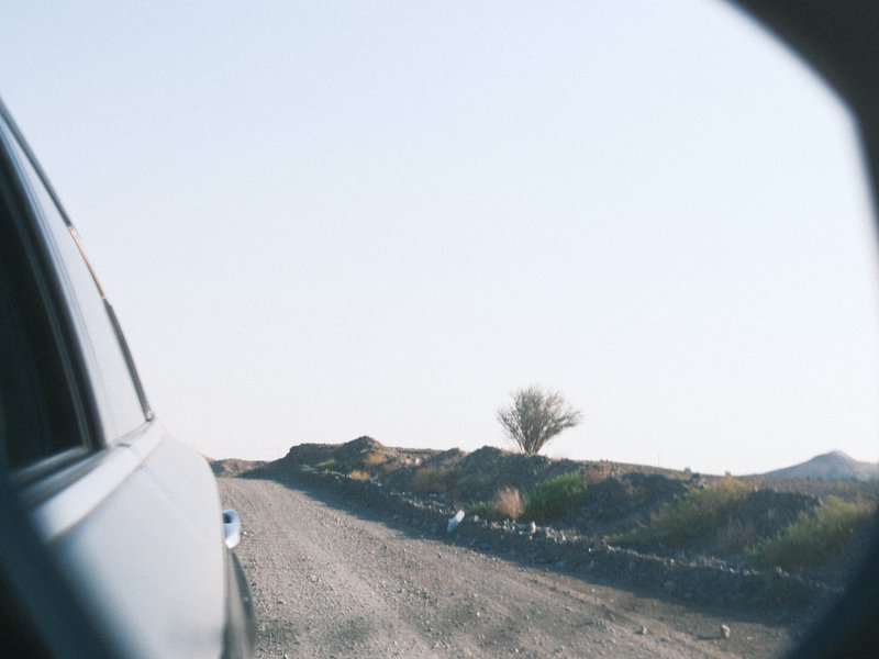 A view of a dirt road and a lone tree seen through a car's side mirror.