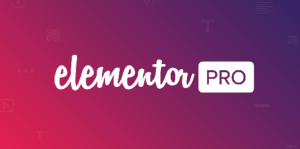 Elementor Pro – Advanced Page Builder WordPress Plugin