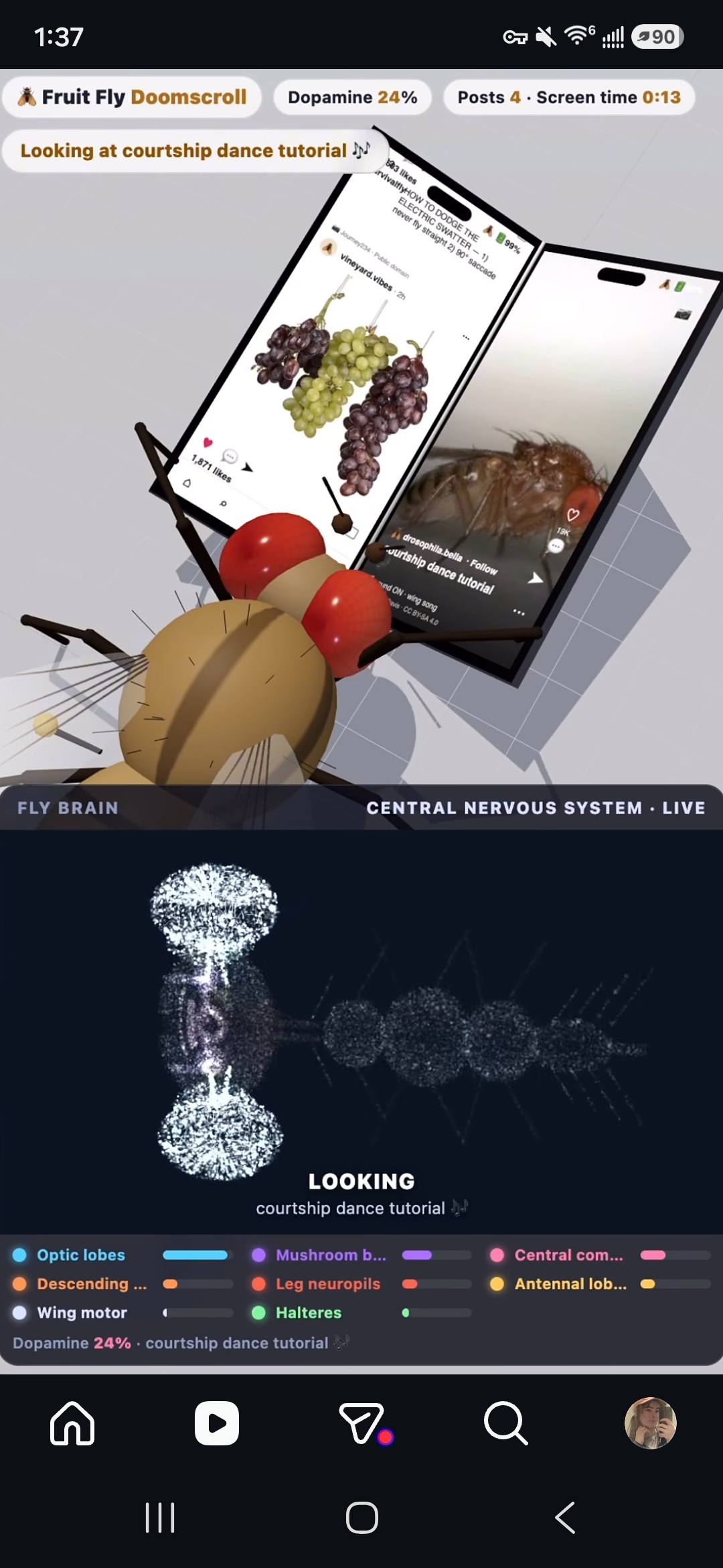 Making the neural imprint of a fly doomscroll on 2 phones at once