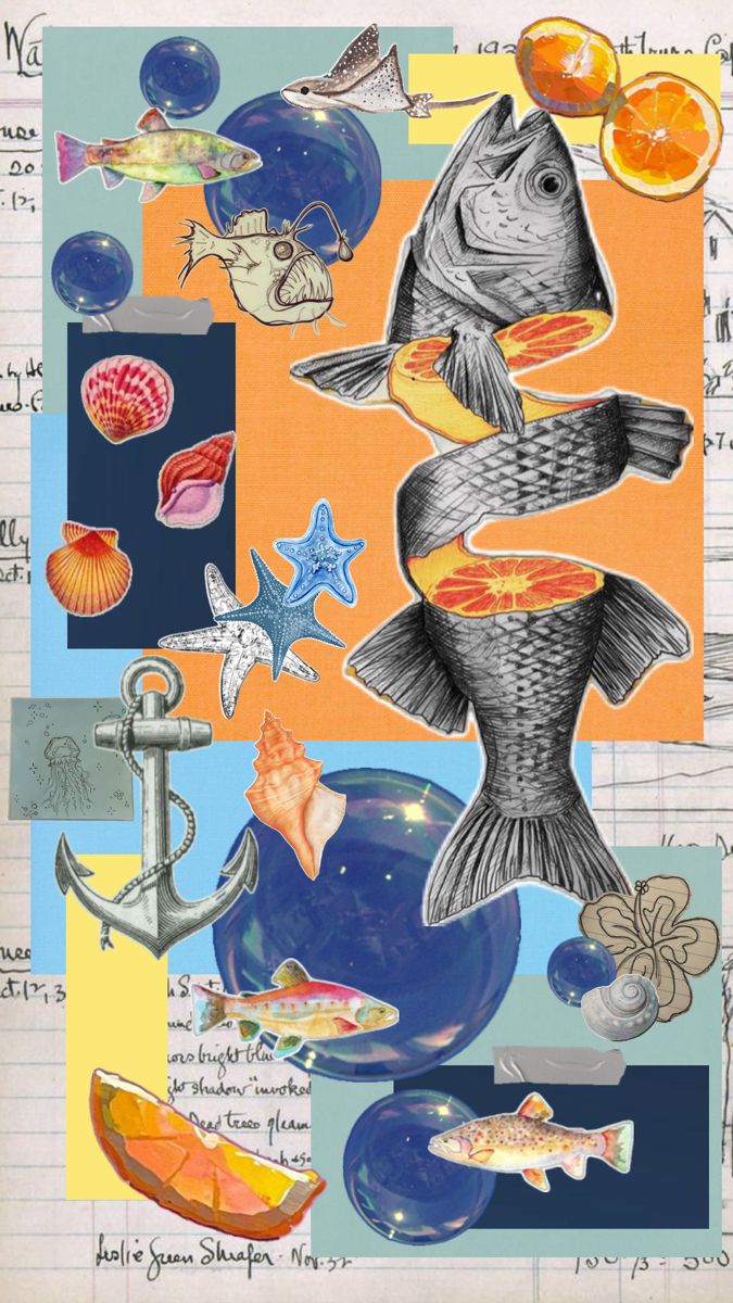 Fresh Festive Moodboard for Visual Discovery