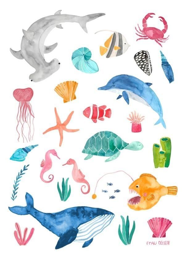 Watercolor Ocean Animals: A Gentle Underwater Field Guide visual reference