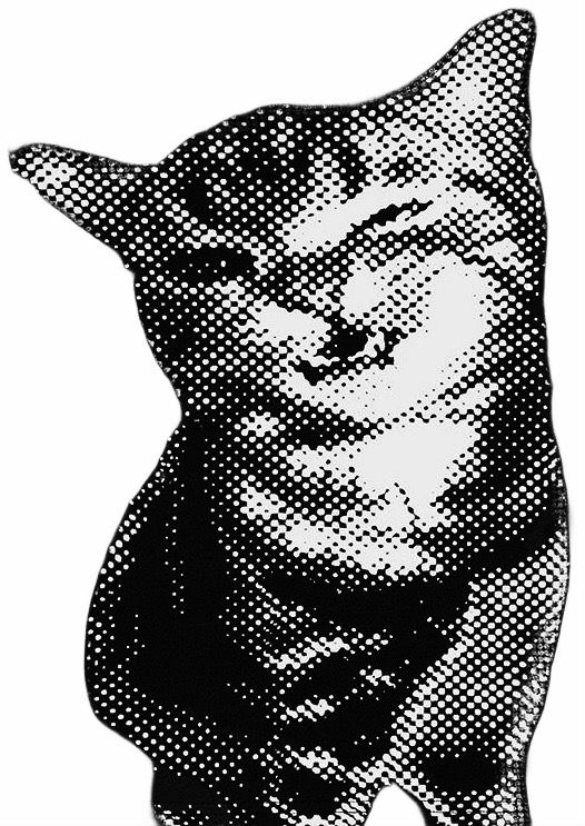 Placeholder