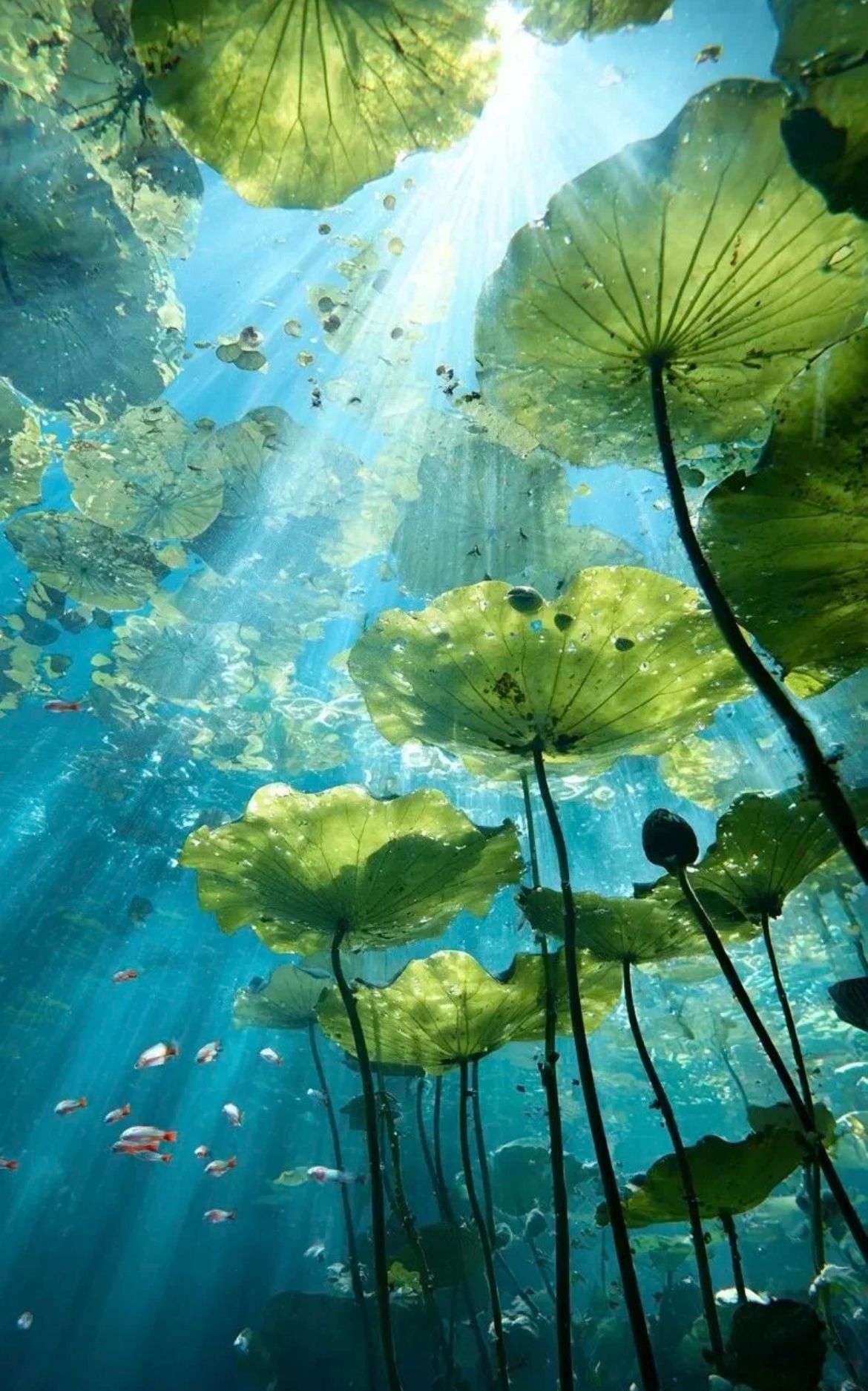 Beauty & Lifestyle visual inspiration 34