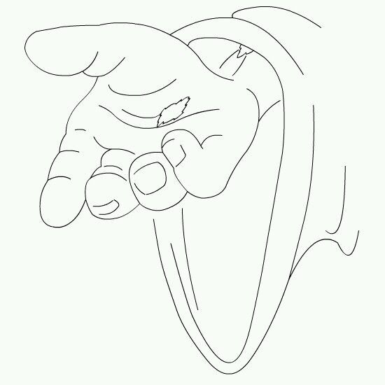 Placeholder
