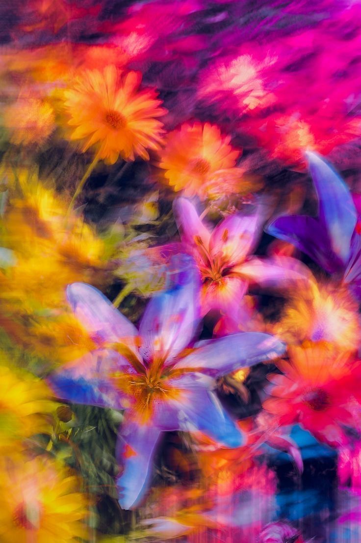 Motion-Blur Flowers: Saturated Lilies and Daisies in Movement visual reference