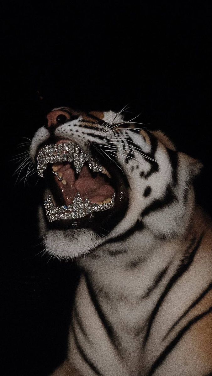 Soft Aesthetic Inspiration number 046: Bold Creative Image Idea With a Strong Visual Hook