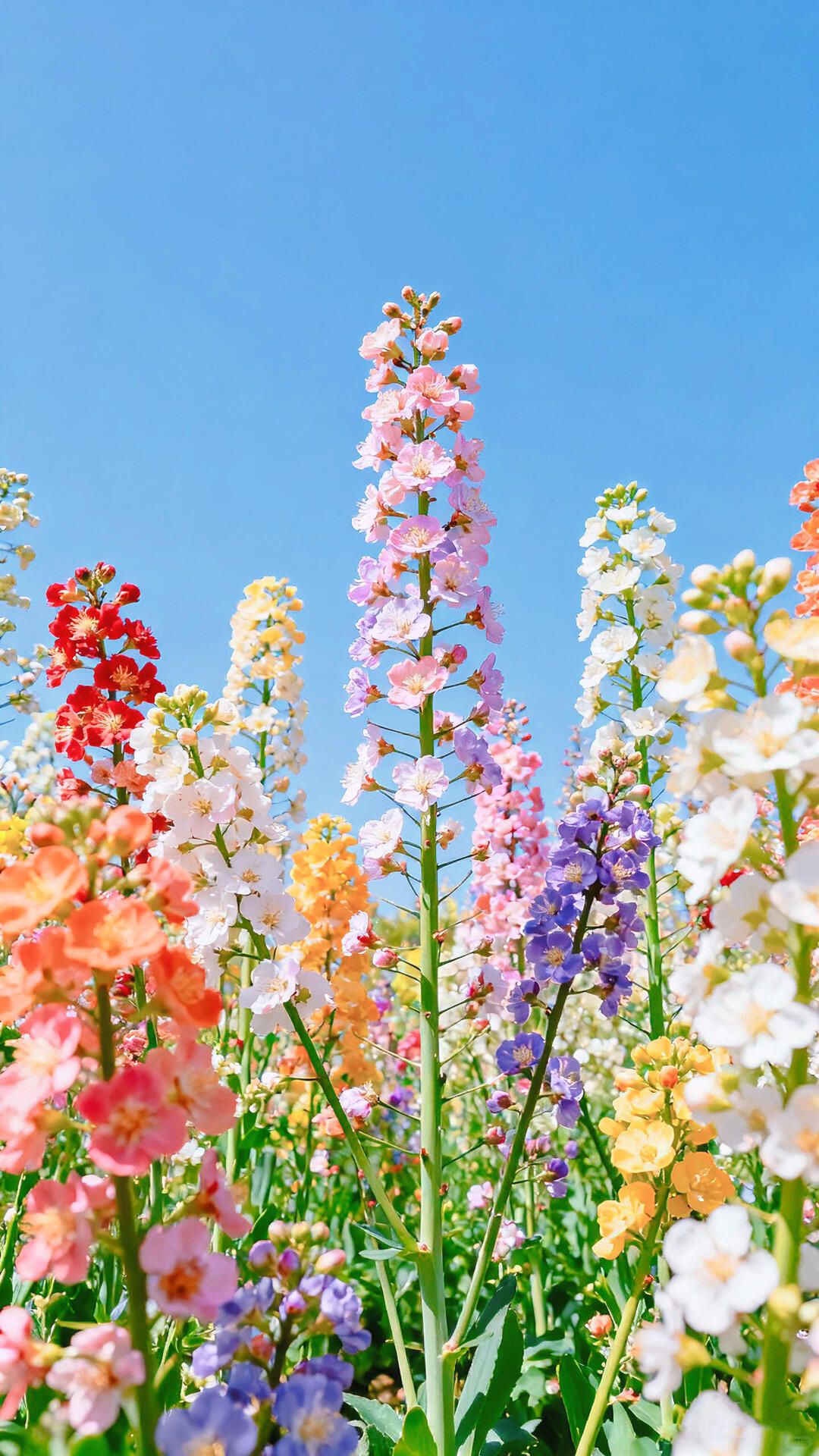 Travel & Moments visual inspiration 24